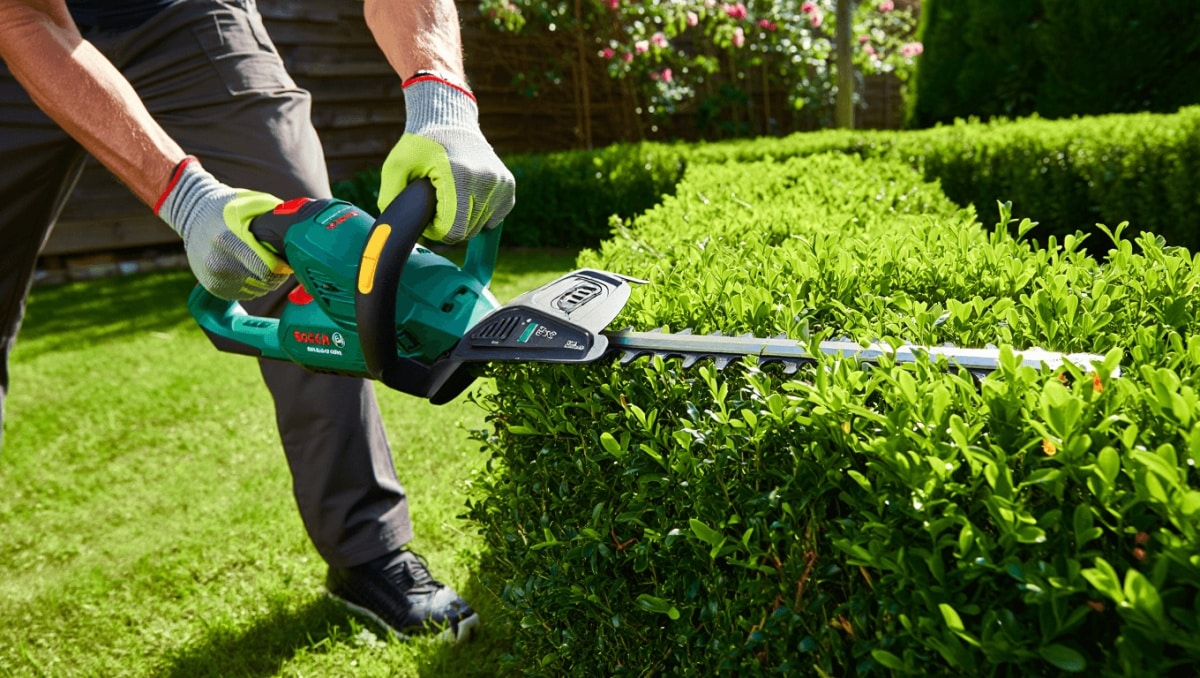 Test du taille-haies Bosch GHE 18V-50 TP : mon retour après plusieurs heures au jardin
