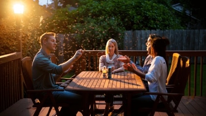 Pourquoi les moustiques semblent préférer certaines terrasses