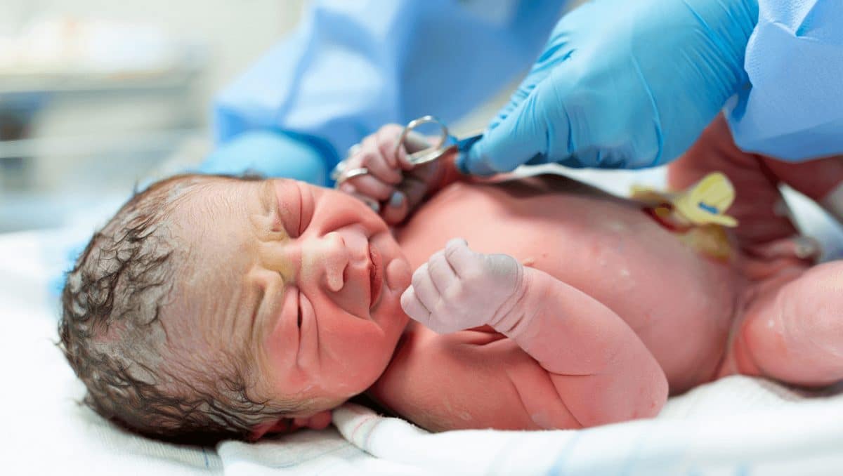 Fertilité et grossesse – 4 nov. 2022Tout savoir sur le cordon ombilicalNos gynécologues vous expliquent tout du rôle du cordon ombilical chez l'enfant, des soins à réaliser après la naissance, et des potentielles complications.En savoir plus