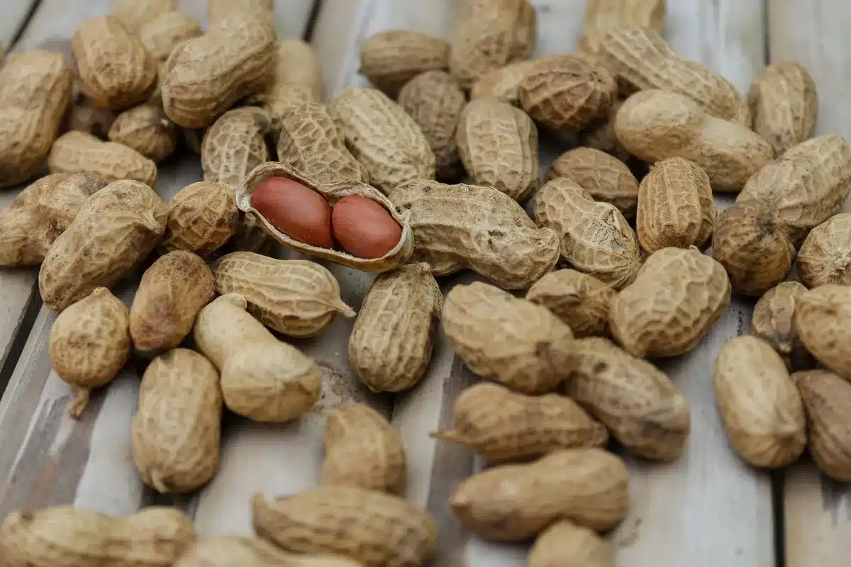 Assiette équilibrée avec protéines, légumes et glucides complets