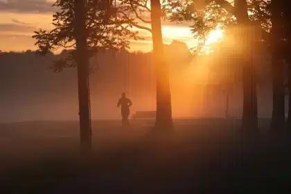 Silhouette d'une personne qui court dans un parc au lever du soleil