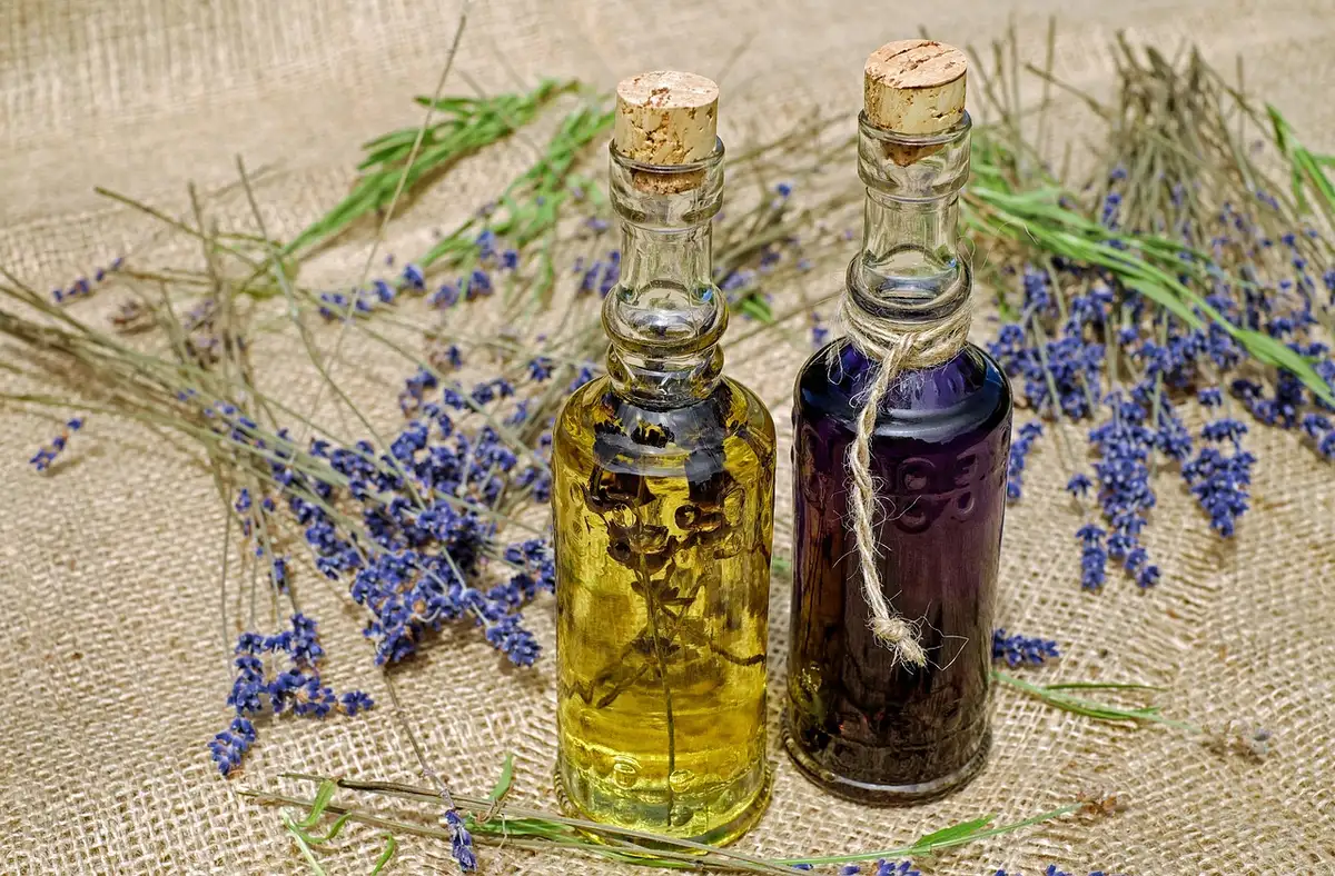 Flacons d'huiles essentielles (tea tree, lavande, eucalyptus) utilisées contre les poux
