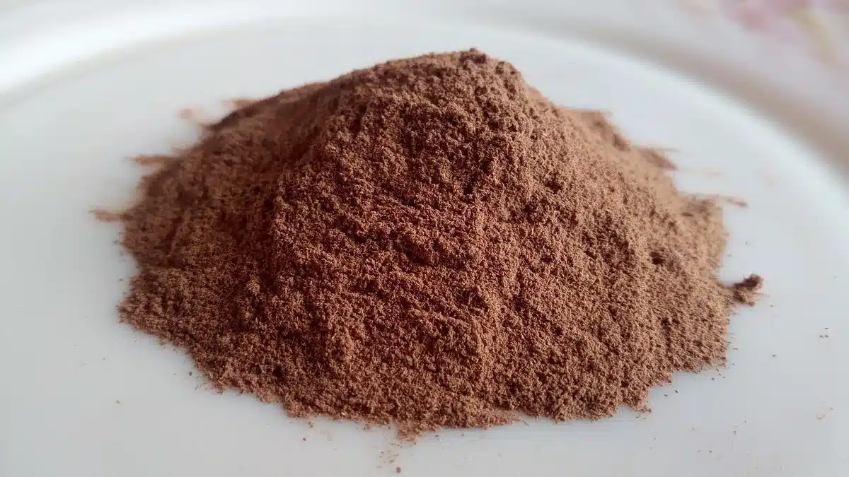 Poudre de cannelle et ingrédients naturels sur une surface en bois, symbolisant un remède naturel pour la santé des chev