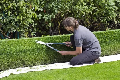 Terrasse en plein jour avec jardin, haies et composteur près d'une table de jardin