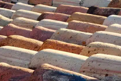 Toiture recouverte de mousse verte et noire sur les tuiles, avec débris végétaux dans les gouttières