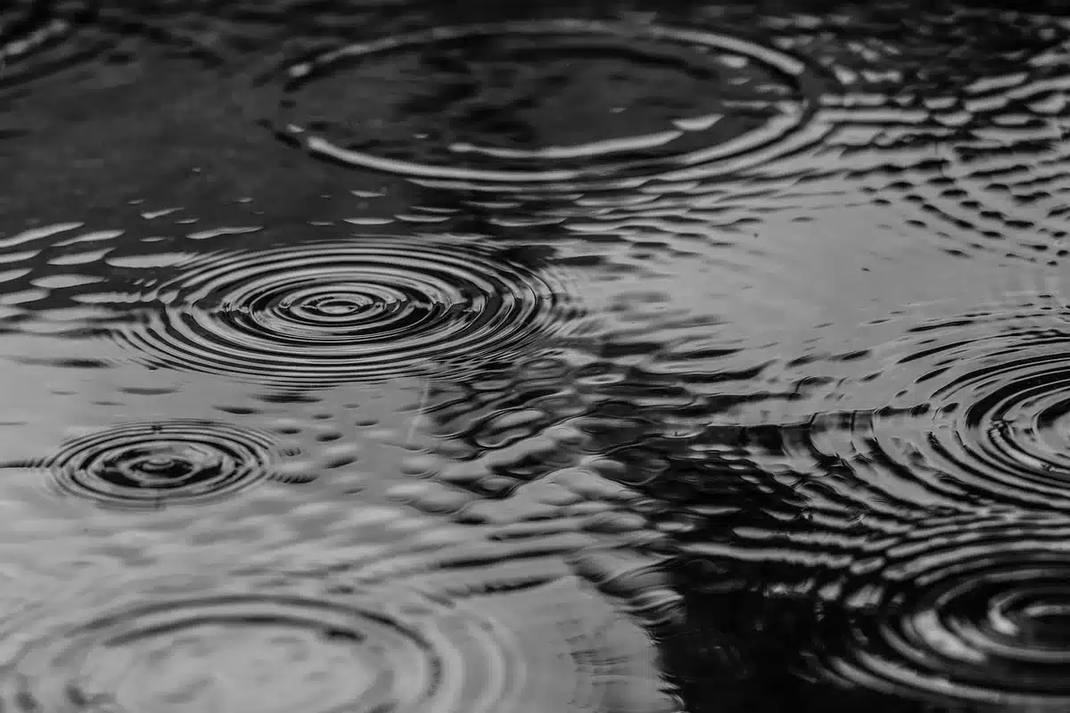 Inspection du jardin pour rep&eacute;rer les petites poches d'eau dans les r&eacute;cipients