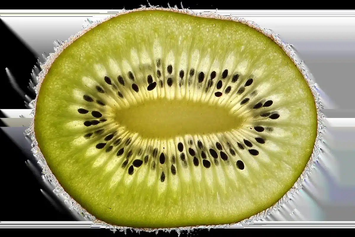 Assortiment d'agrumes, kiwis et fraises frais prêts à être consommés