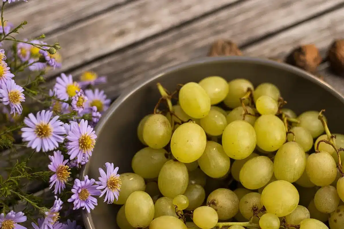 Assortiment de fruits et légumes colorés lavés prêts à consommer