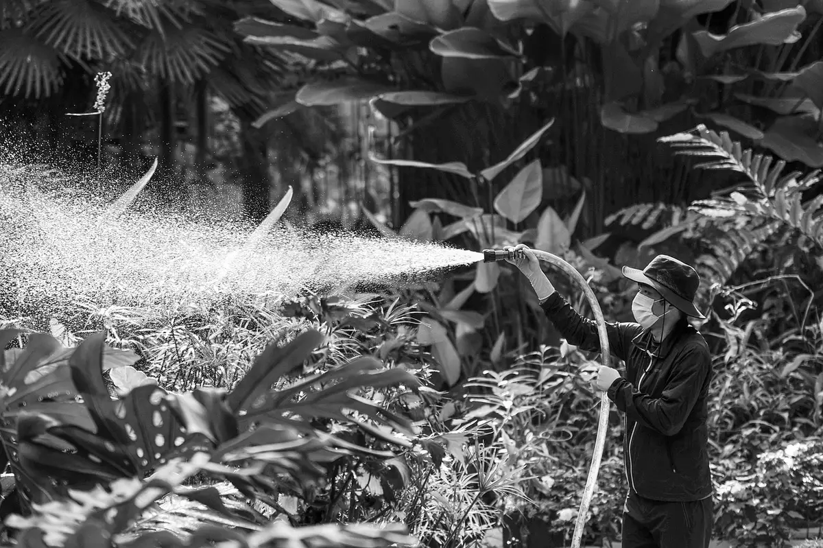 Personne vide un récupérateur d'eau de pluie en ouvrant le robinet principal