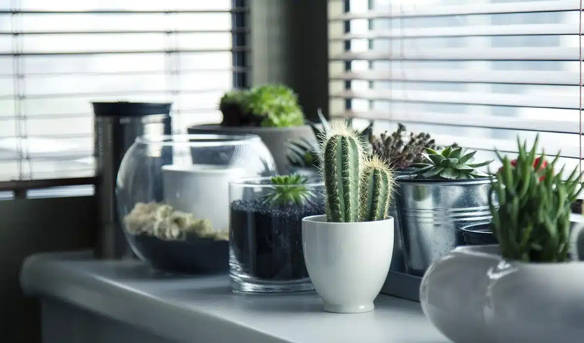 Objets retirés du sol et pots sur des étagères autour de la maison