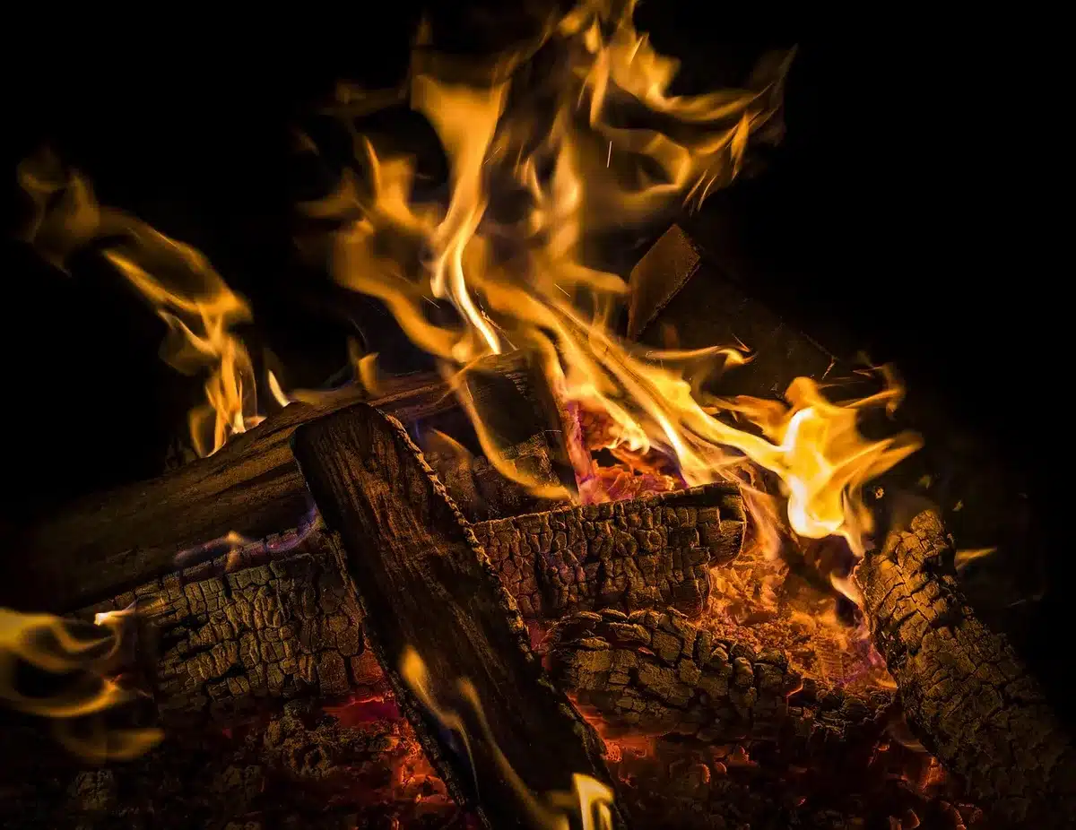 Bûches avec surface humide et taches d'humidité visibles