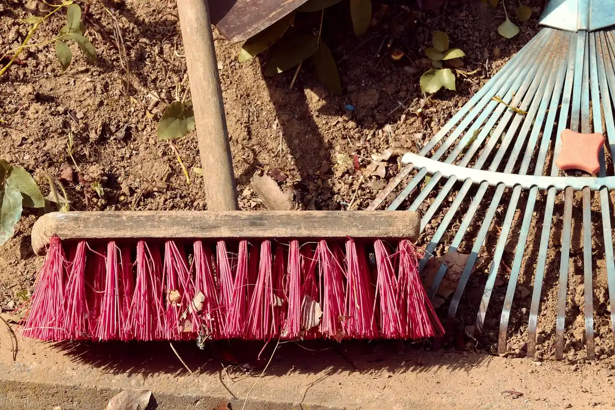 Pelouse avec feuilles fragmentées et outils de jardinage en plein jour