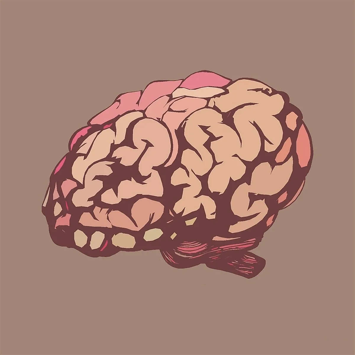 Schéma neutre montrant muscles et cerveau pour illustrer où se trouve la créatine