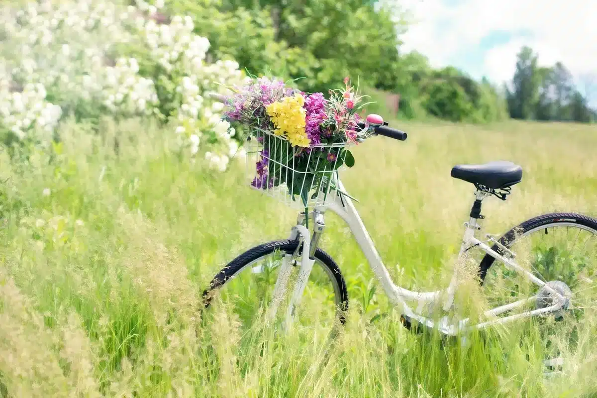 Réglage de la selle et position du genou sur un vélo